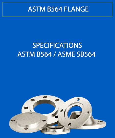 ASTM B564 Flange
