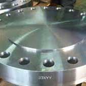 Incoloy 825 Blind Flange Incoloy 825 Blind Flange
