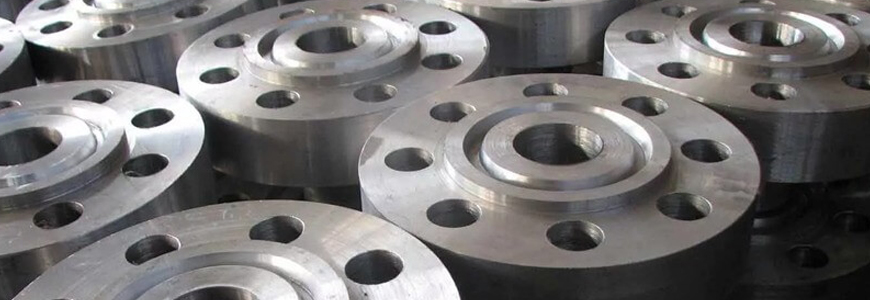 Stainless Steel 316L Flanges
