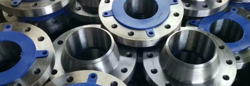 Stainless Steel Flange